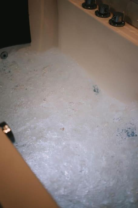Ultimate Comfort ! Jacuzzi & Sauna. ブザンソン エクステリア 写真